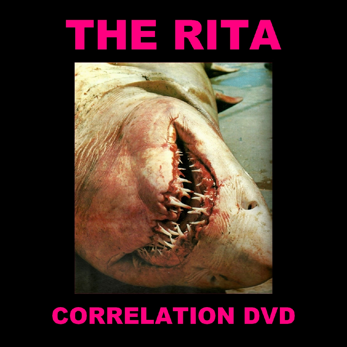 THE RITA-DVD - pochette